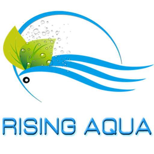 Rising Aqua